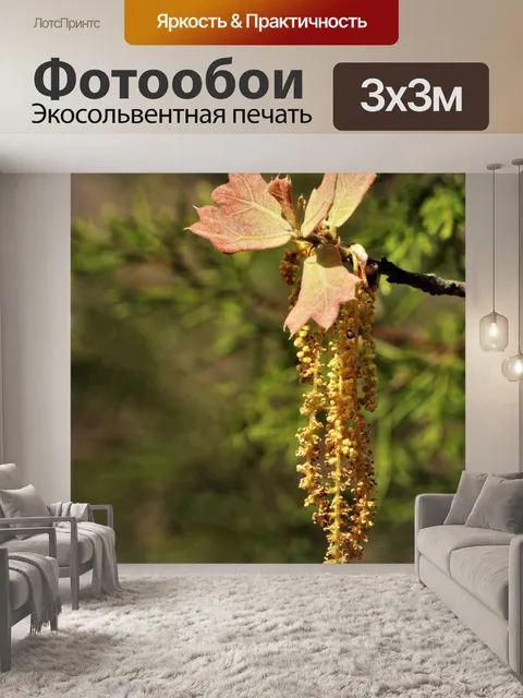 Фотообои Дубовый лист весной