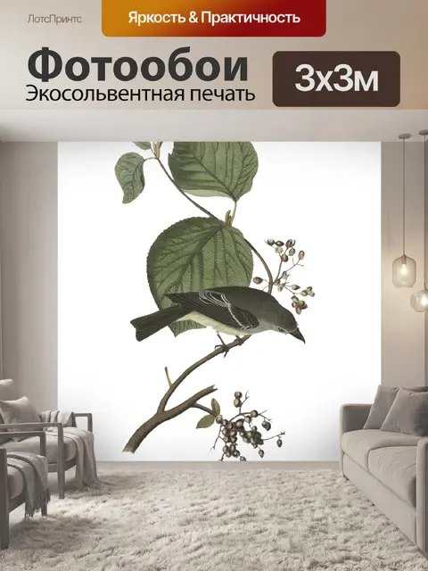 Фотообои Птицы