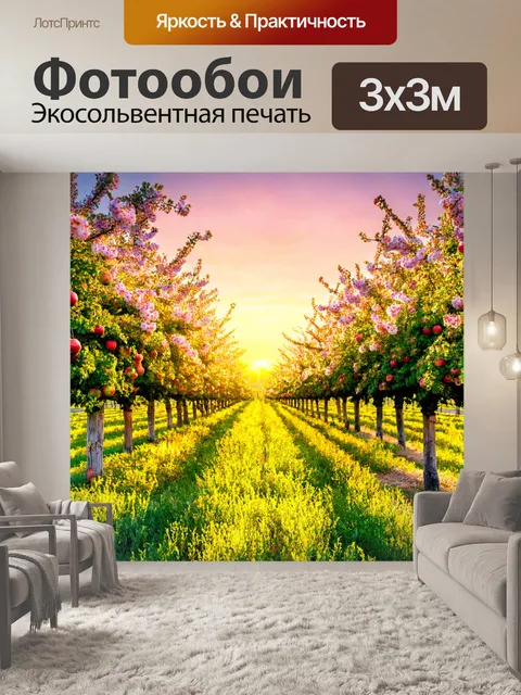 Фотообои цветущие яблоневые сады на закате весной
