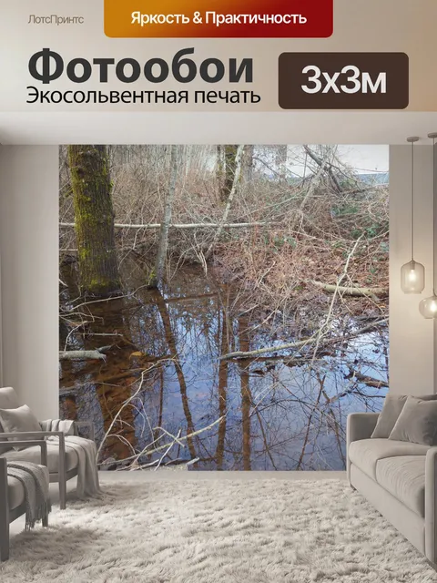 Фотообои мертвые деревья