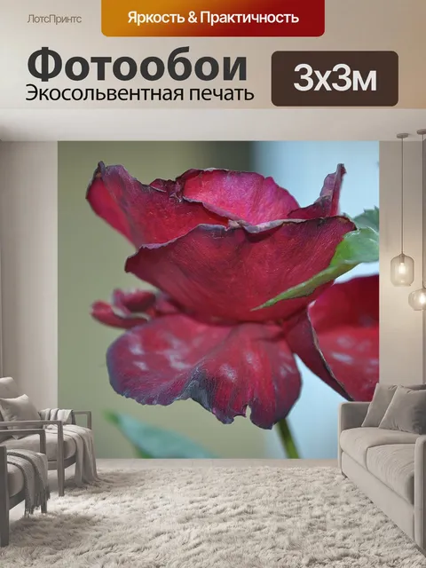 Фотообои Розы