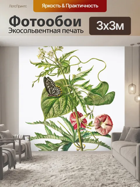 Фотообои Цветок бабочка винтаж старый