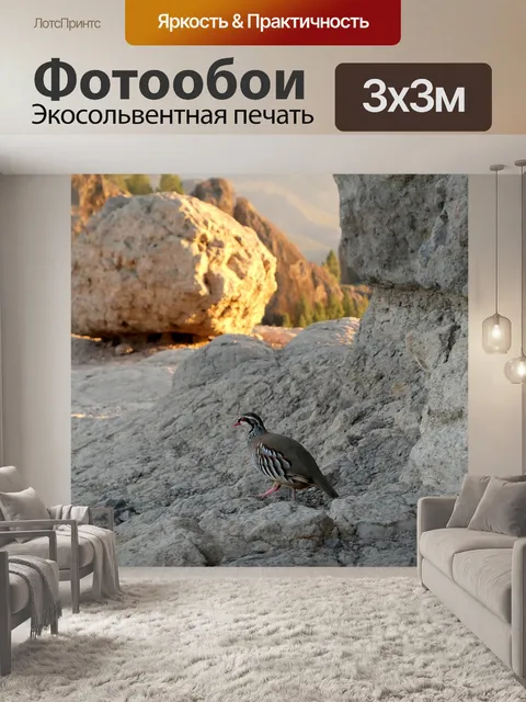 Фотообои Птица