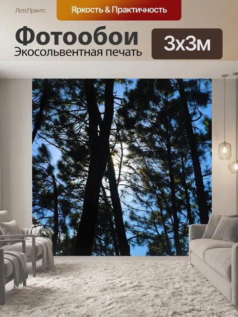 Фотообои Сосновый лес