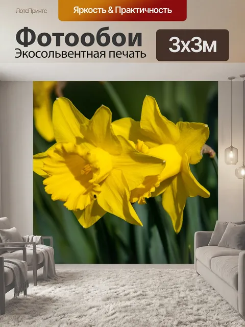 Фотообои Желтый цветок, Нарцисс