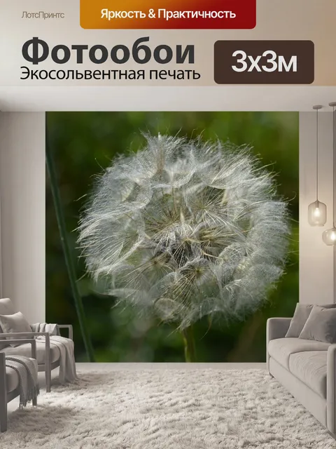 Фотообои Одуванчик