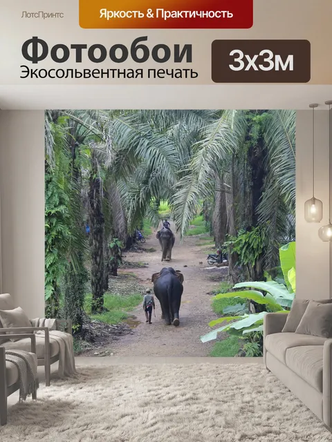 Фотообои Слон
