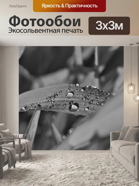 Фотообои Черно-белый