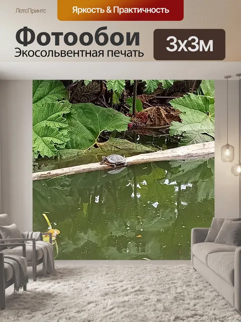 Фотообои прыжок в пруд