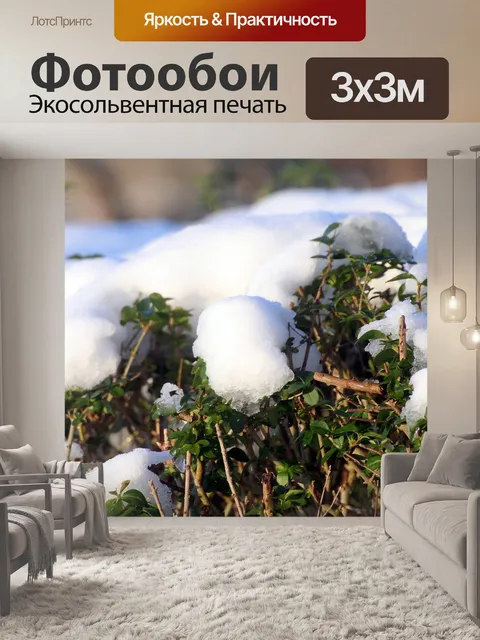 Фотообои Снег