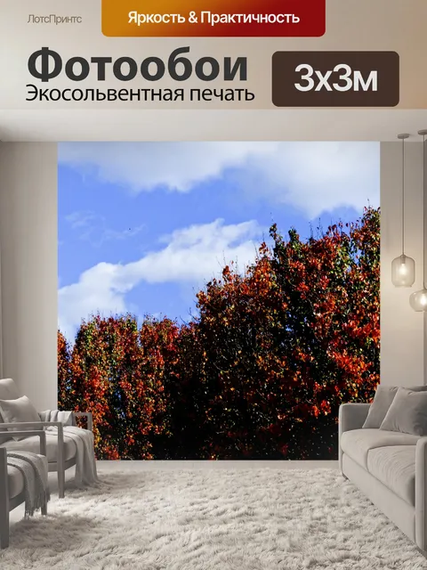 Фотообои Осенние листья пасмурный день