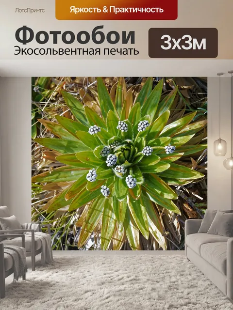 Фотообои Завод