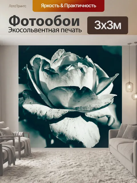 Фотообои Розовый