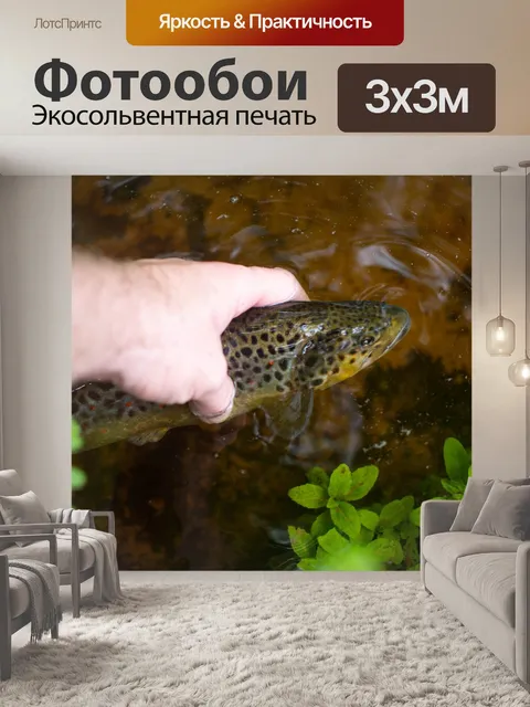 Фотообои Форель