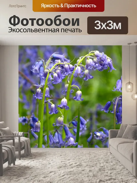 Фотообои Бабочка орхидея