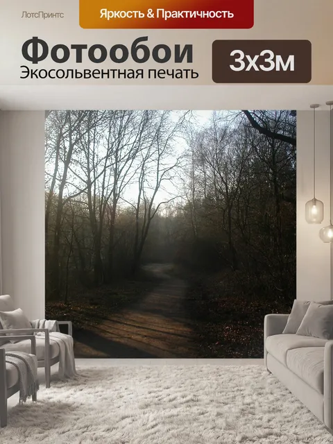 Фотообои Лесная тропа