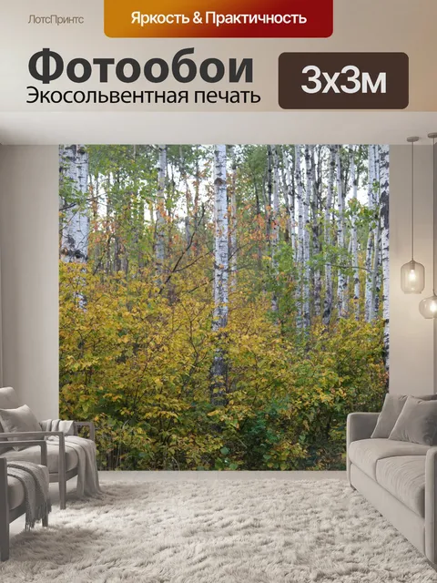 Фотообои Осина осень осень