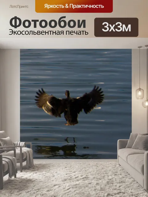 Фотообои Утки