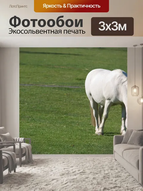 Фотообои Лошадь