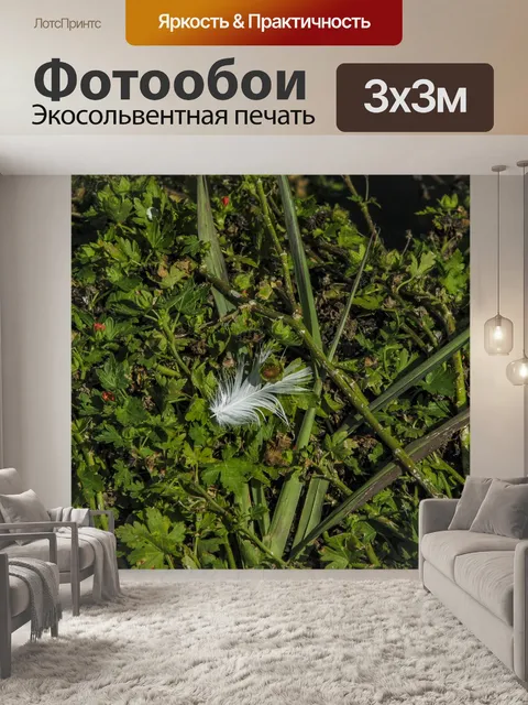 Фотообои Контраст природы Ковыль