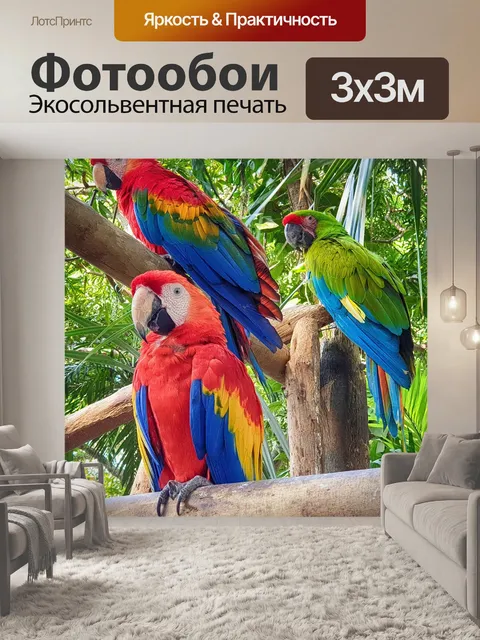 Фотообои Попугай