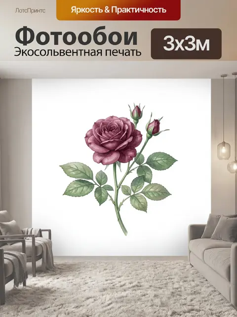 300 × 300 см · Экосольвентная печать