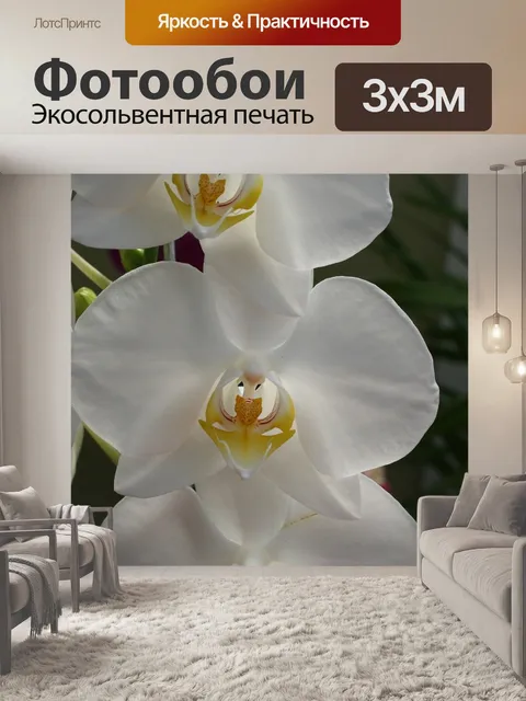 Фотообои Цветок