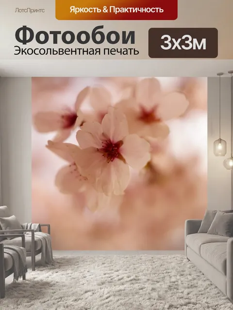 Фотообои Отрасль цветами вишни