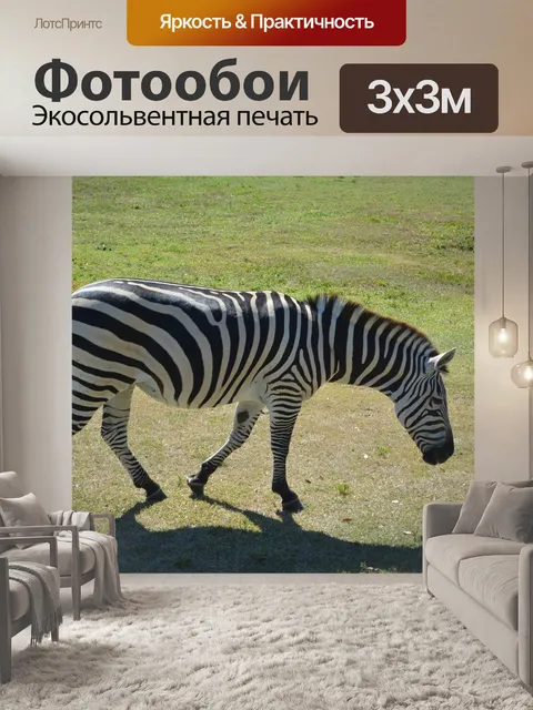 Фотообои Зебра