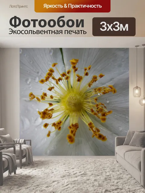 Фотообои Цветок