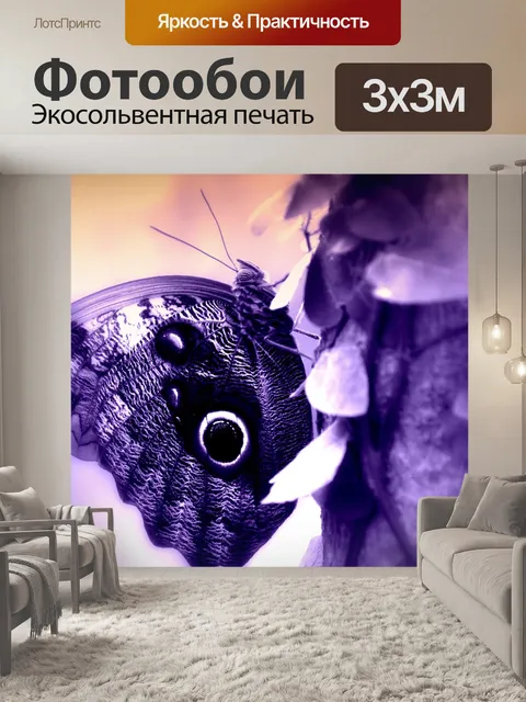 Фотообои Бабочка
