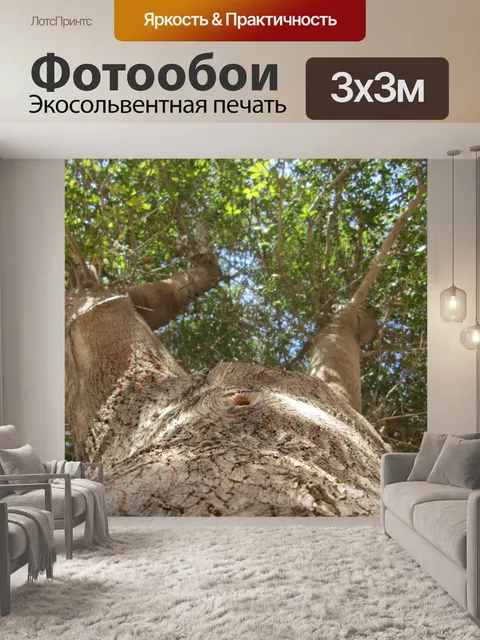 Фотообои Дерево Перспектива