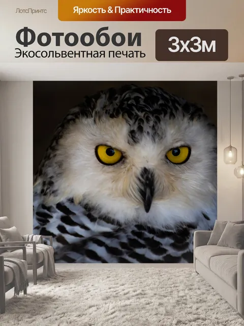 Фотообои Белая сова