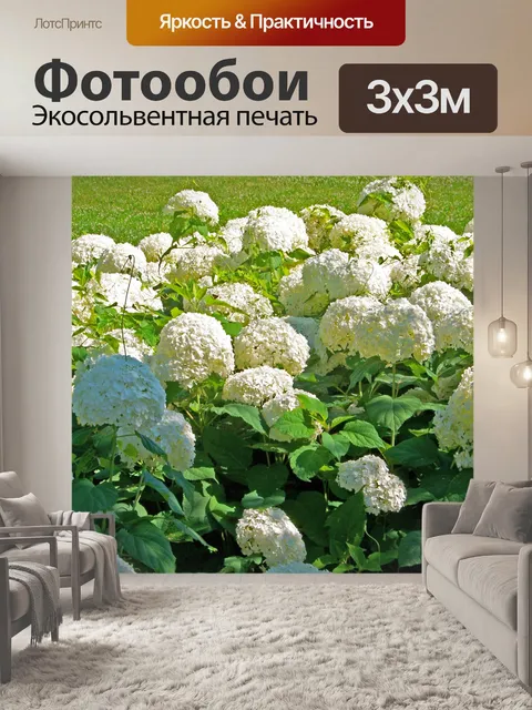 Фотообои Snowball Буша