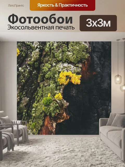 Фотообои Природа