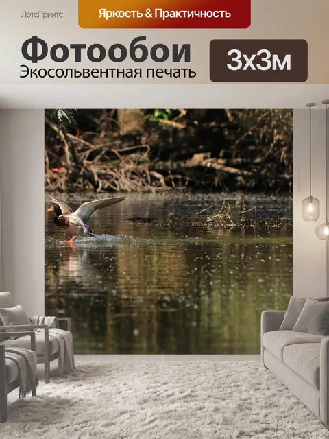 Фотообои Птица