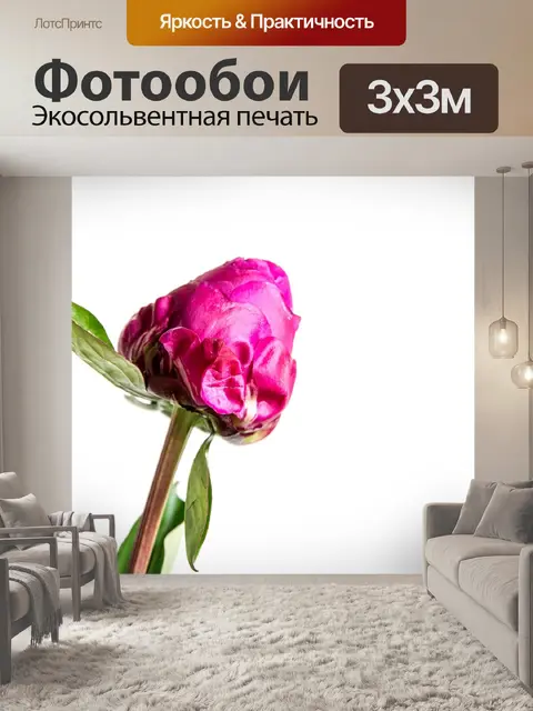 Фотообои Цветок