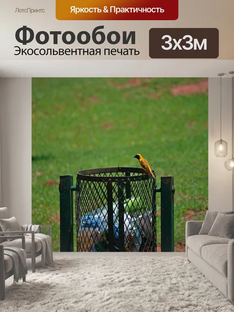 Фотообои Желтый зяблик на мусорном ведре