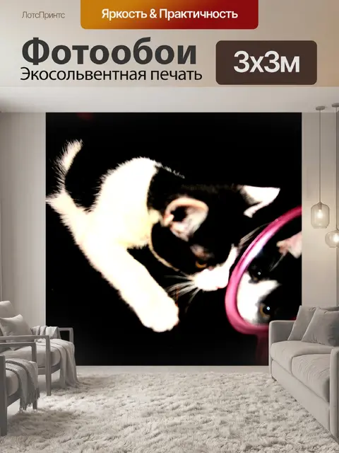 Фотообои Зеркало