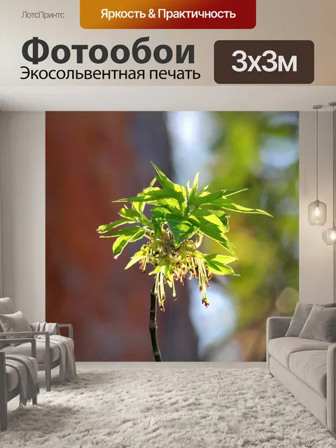 Фотообои Свет