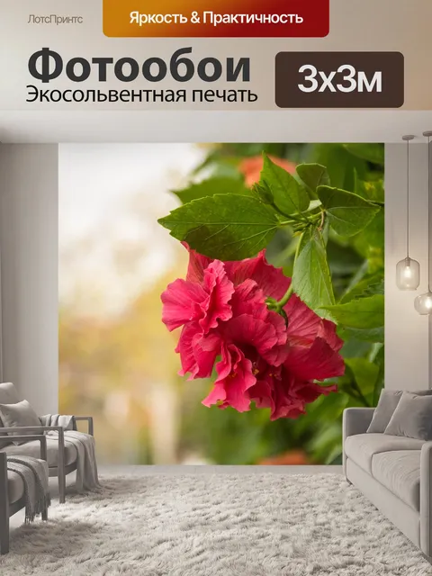 Фотообои Цветок