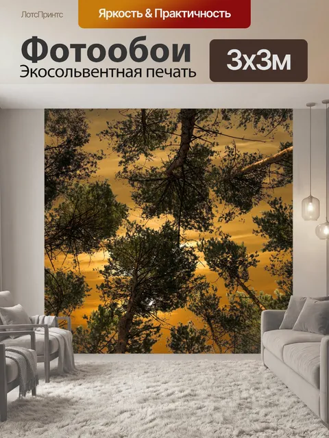 Фотообои Лес на солнце