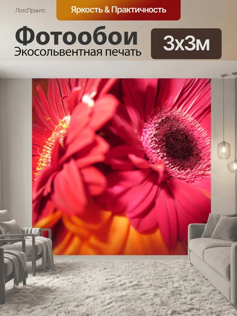 Фотообои красные герберы