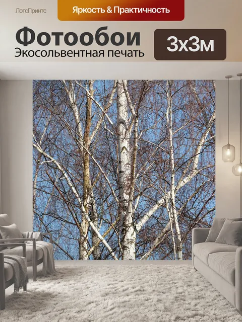 Фотообои Березы