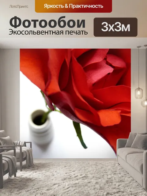 Фотообои История розы и ваза