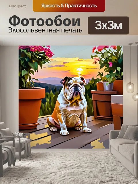 Фотообои очаровательный бульдог сидит на террасе, глядя на закат