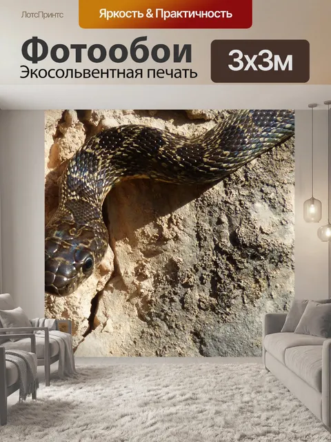 Фотообои Черная змея