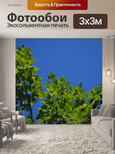 Фотообои Небо