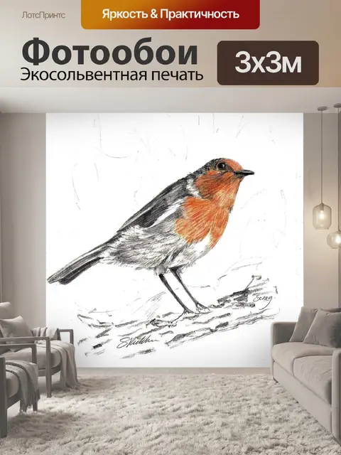 Фотообои Робин