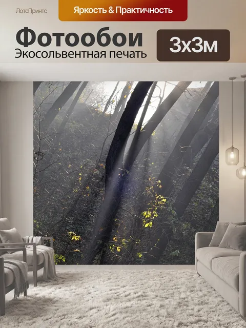 Фотообои Лес